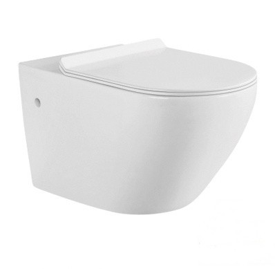 High quality Europe design Economic Modern Rimless Ceramic Bathroom washdown wall hung toilet